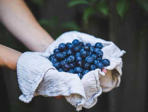 Health Benefits of Blueberries