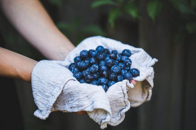 Health Benefits of Blueberries