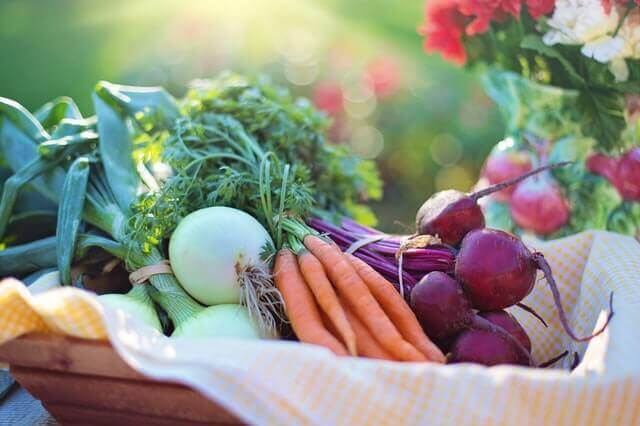 Health Benefits of Organic Food
