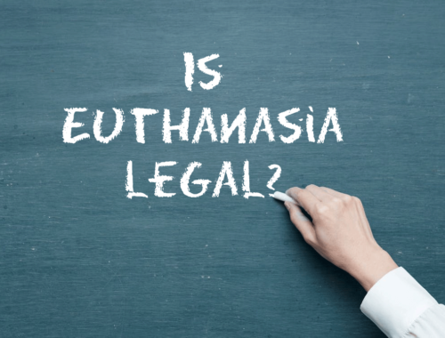 In-Which-Countries-is-Euthanasia-Legal